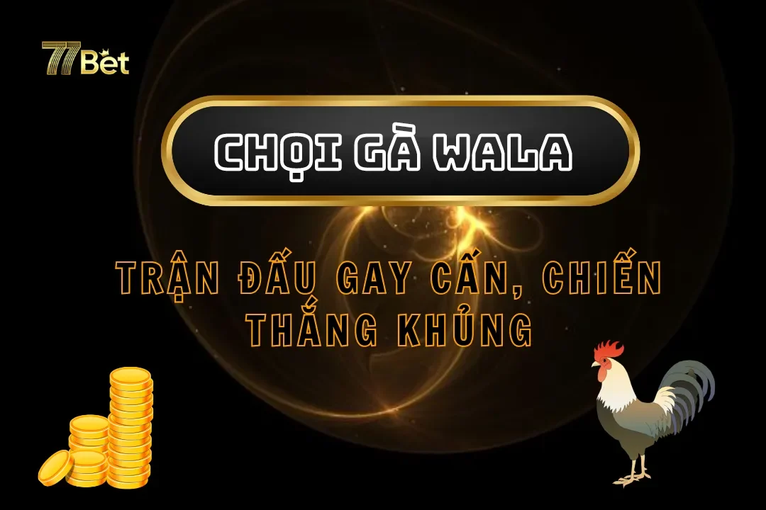 Chọi Gà Wala Tại 77bet – Trận Đấu Gay Cấn, Chiến Thắng Khủng