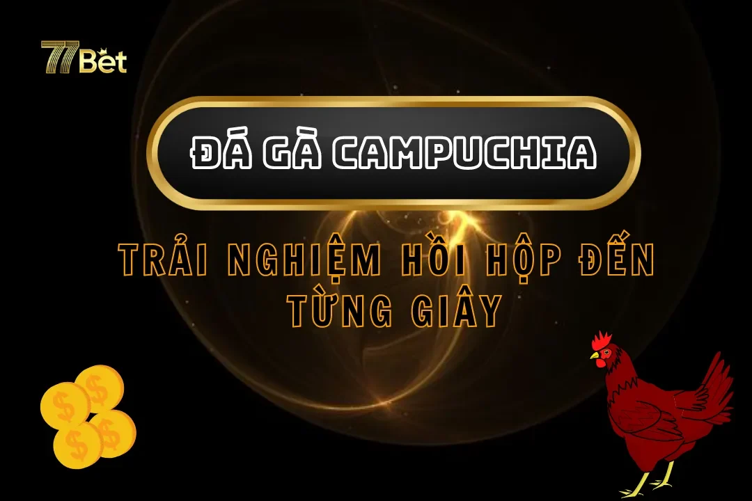Đá gà Campuchia tại 77Bet – Trải nghiệm hồi hộp đến từng giây
