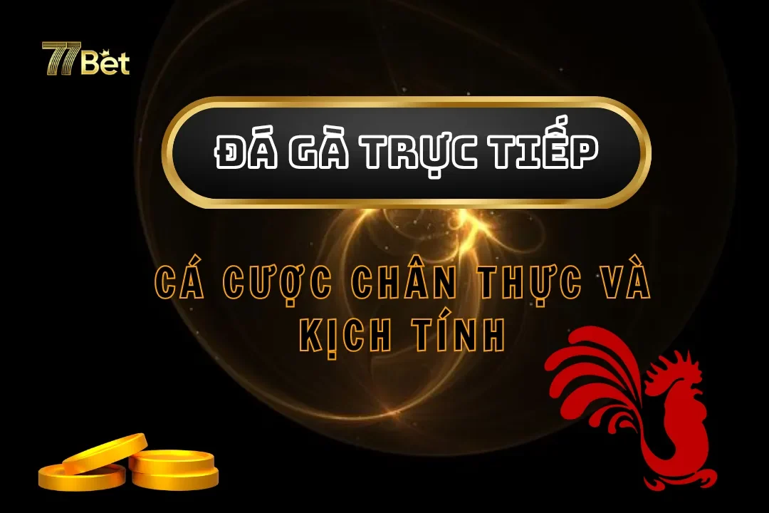 Đá Gà Trực Tiếp Tại 77bet – Cá Cược Chân Thực Và Kịch Tính